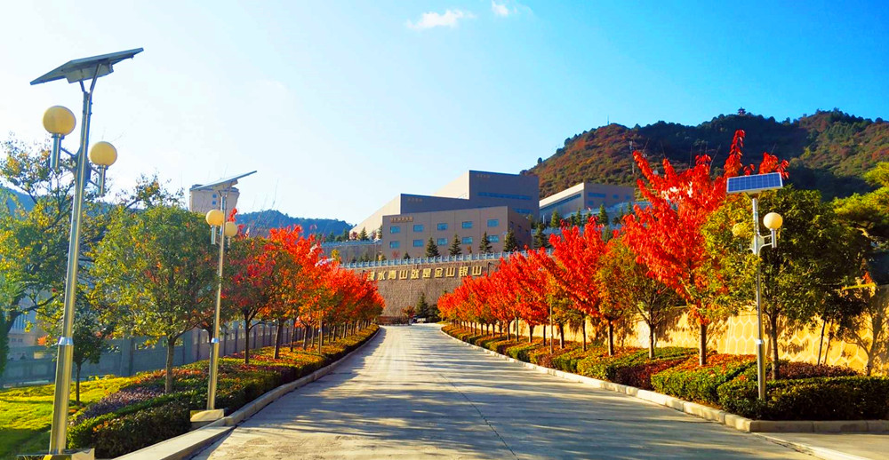 202207071657153695373515.jpg 6.jpg