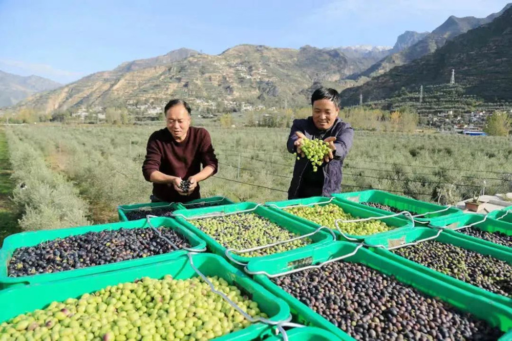 202301061672992917899905.jpg 8.jpg