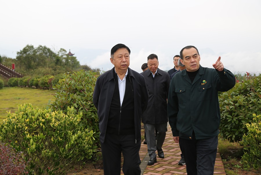 19-2021年10月，原國土資源部副部長汪民蒞臨公司調(diào)研。.jpg