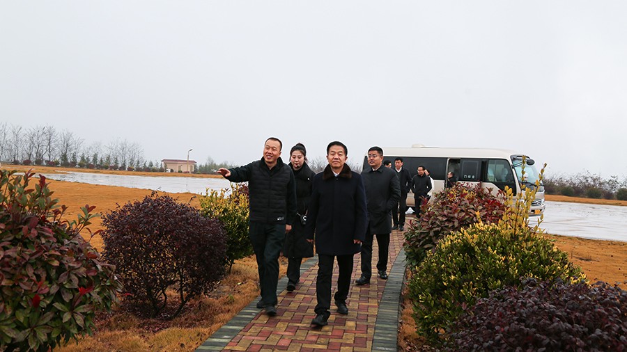 45-2020年12月，省高級人民法院黨組成員、副院長任建國蒞臨金徽股份調(diào)研知識產(chǎn)權(quán)司法保護工作。.jpg